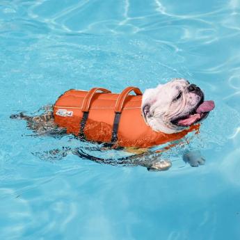 美國 outwardhound 寵物救生衣 寵物 救生衣 浮力救生衣 防撕裂材料